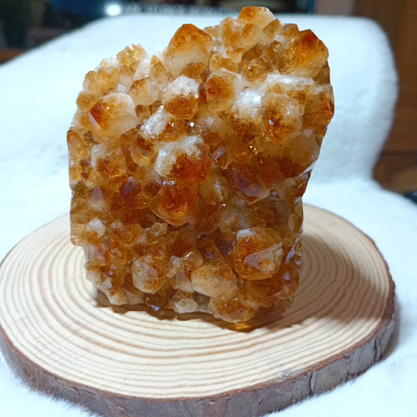 Drusa de Cuarzo Citrino