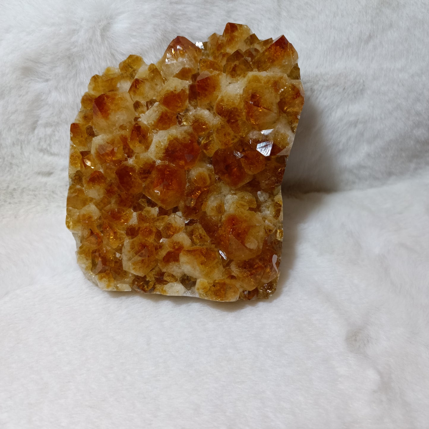 Drusa de Cuarzo Citrino