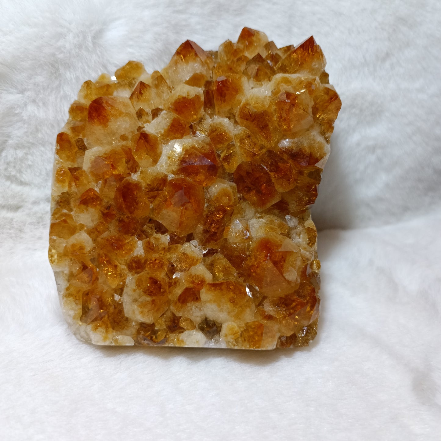 Drusa de Cuarzo Citrino