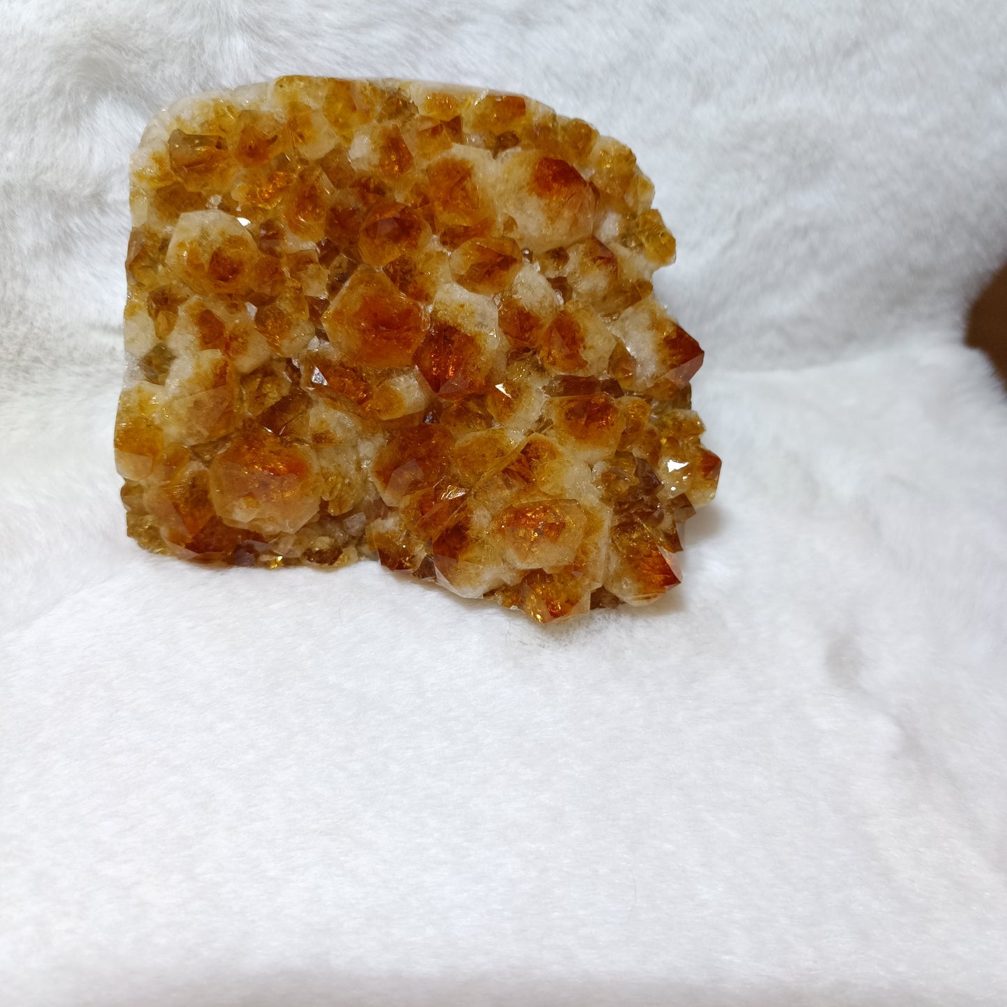 Drusa de Cuarzo Citrino