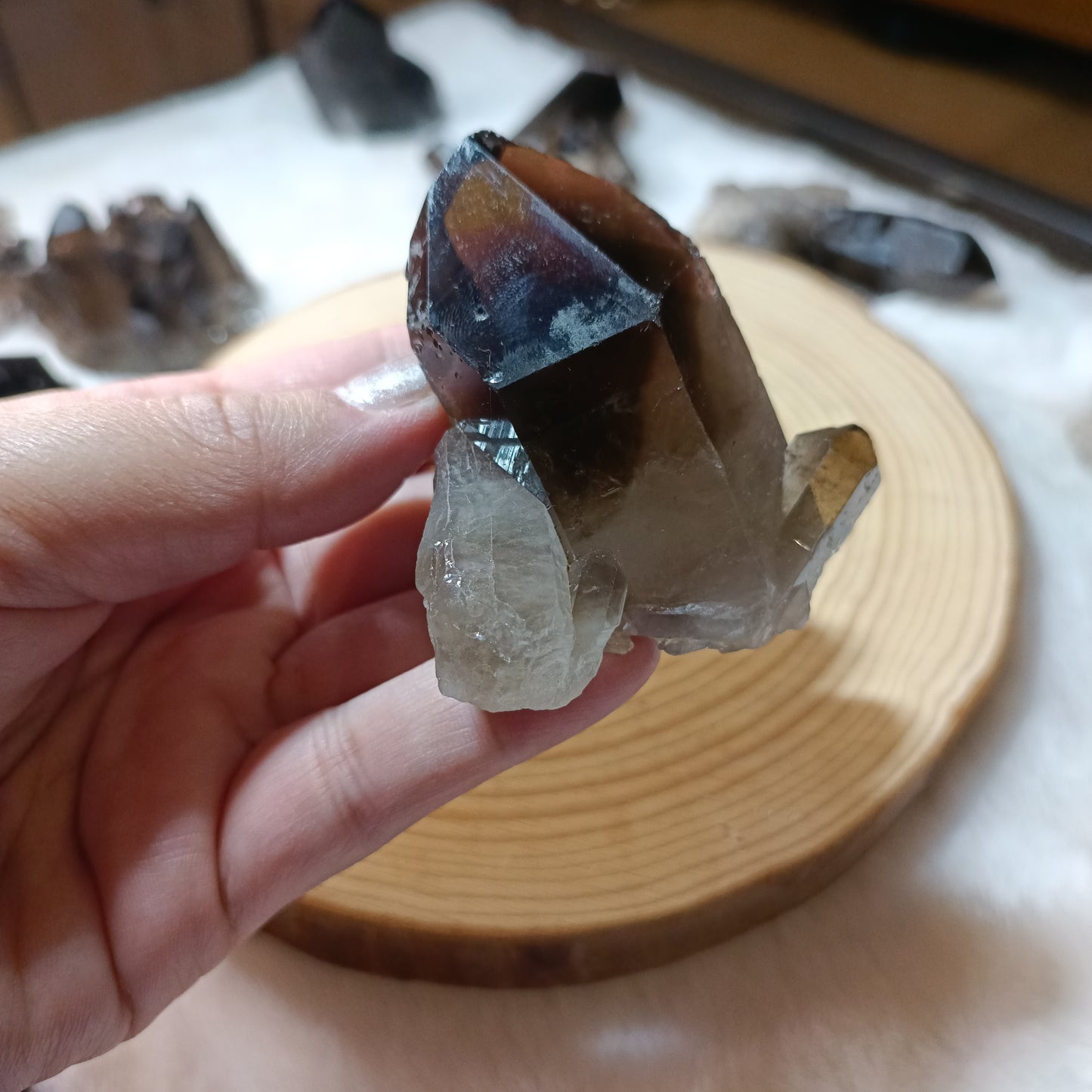 Drusas de Cuarzo Ahumado