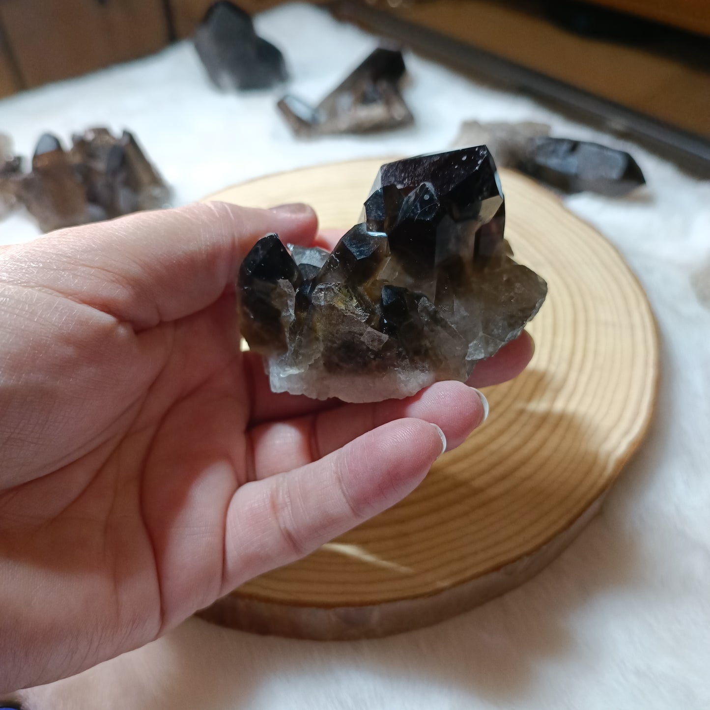 Drusas de Cuarzo Ahumado