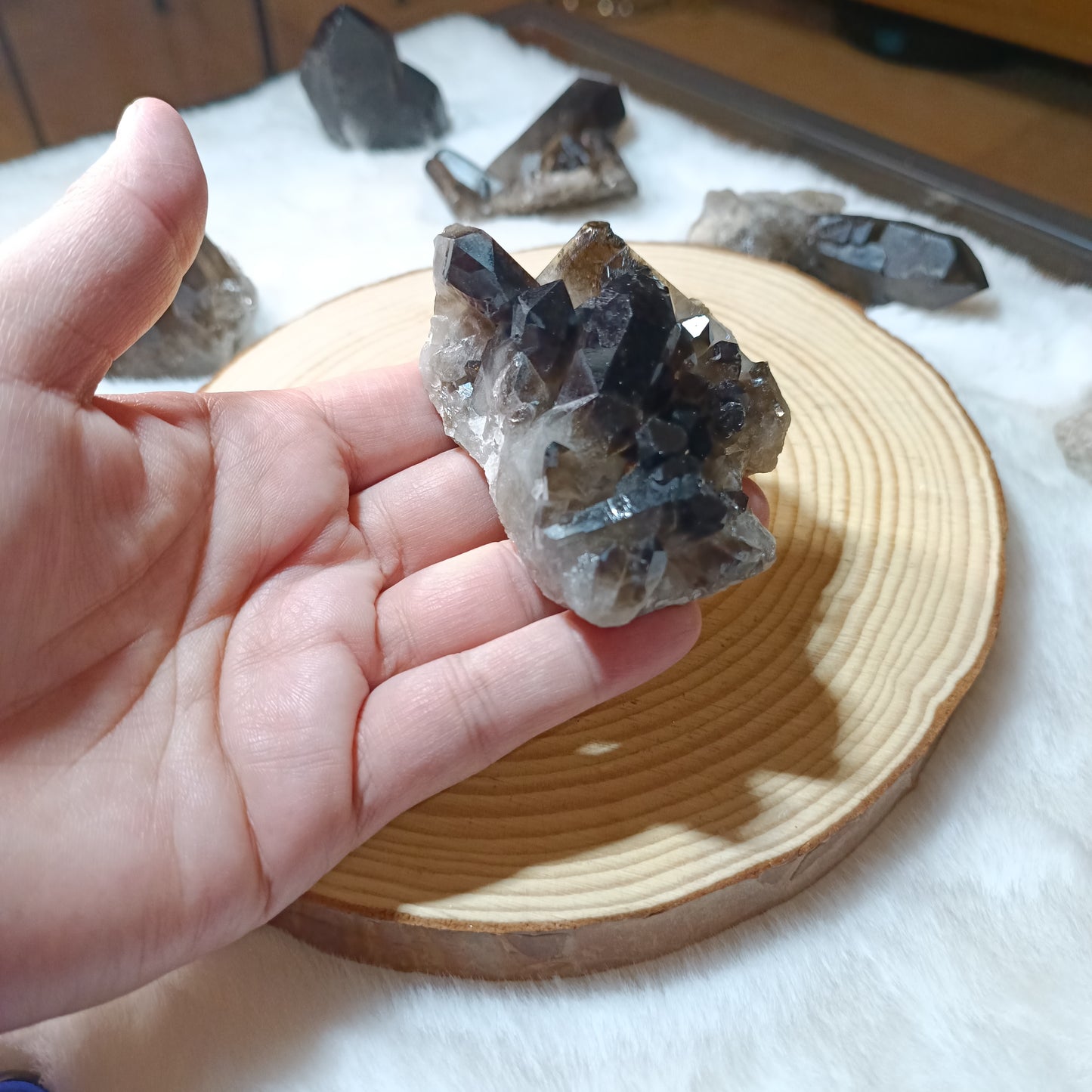 Drusas de Cuarzo Ahumado