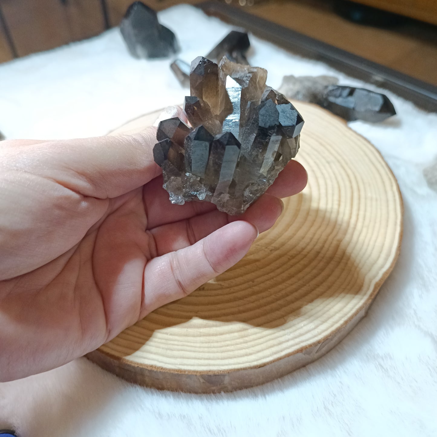 Drusas de Cuarzo Ahumado