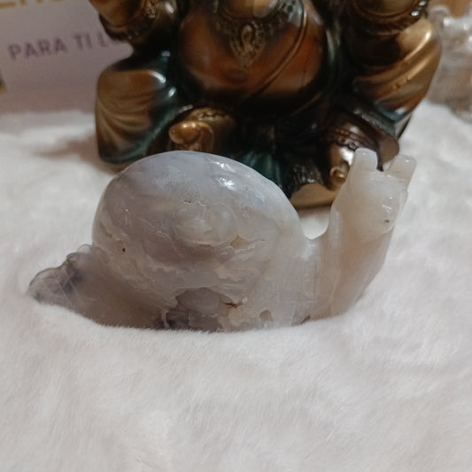 Caracol de druza de Ágata