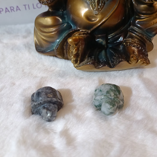 Tortugas de diferentes minerales