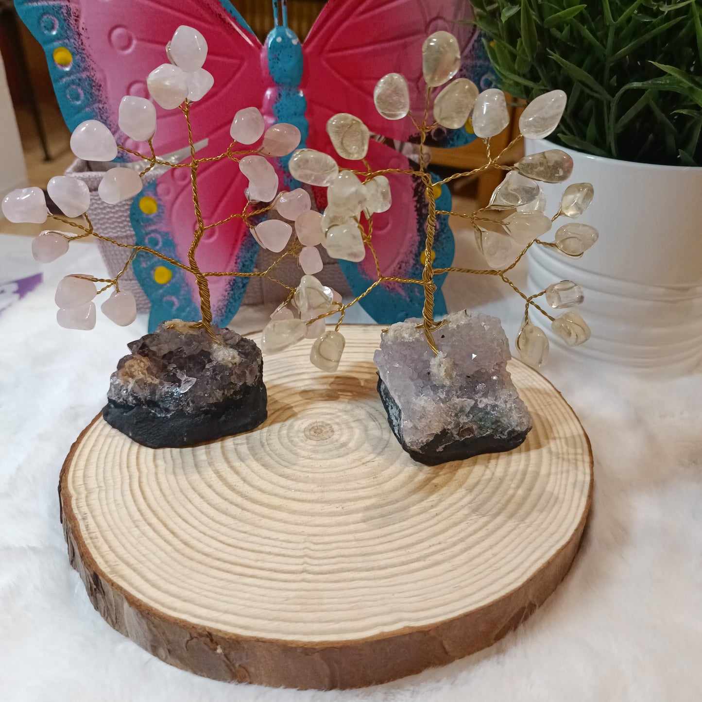 Bonsai con Base de Amatista