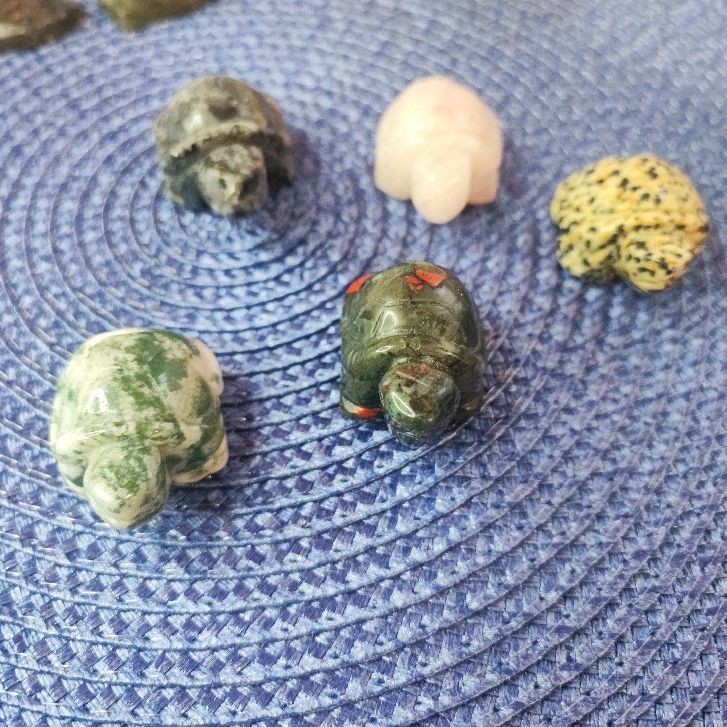 Tortugas de diferentes minerales