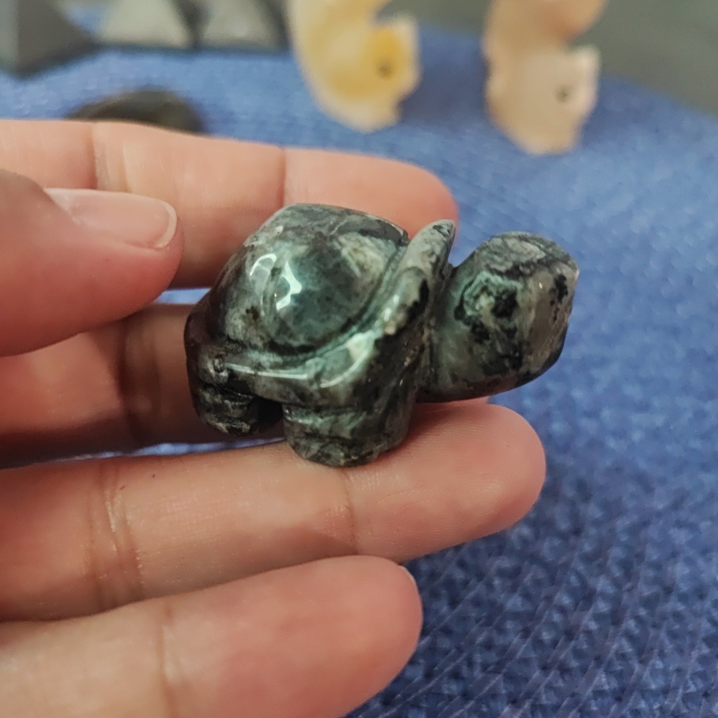 Tortugas de diferentes minerales