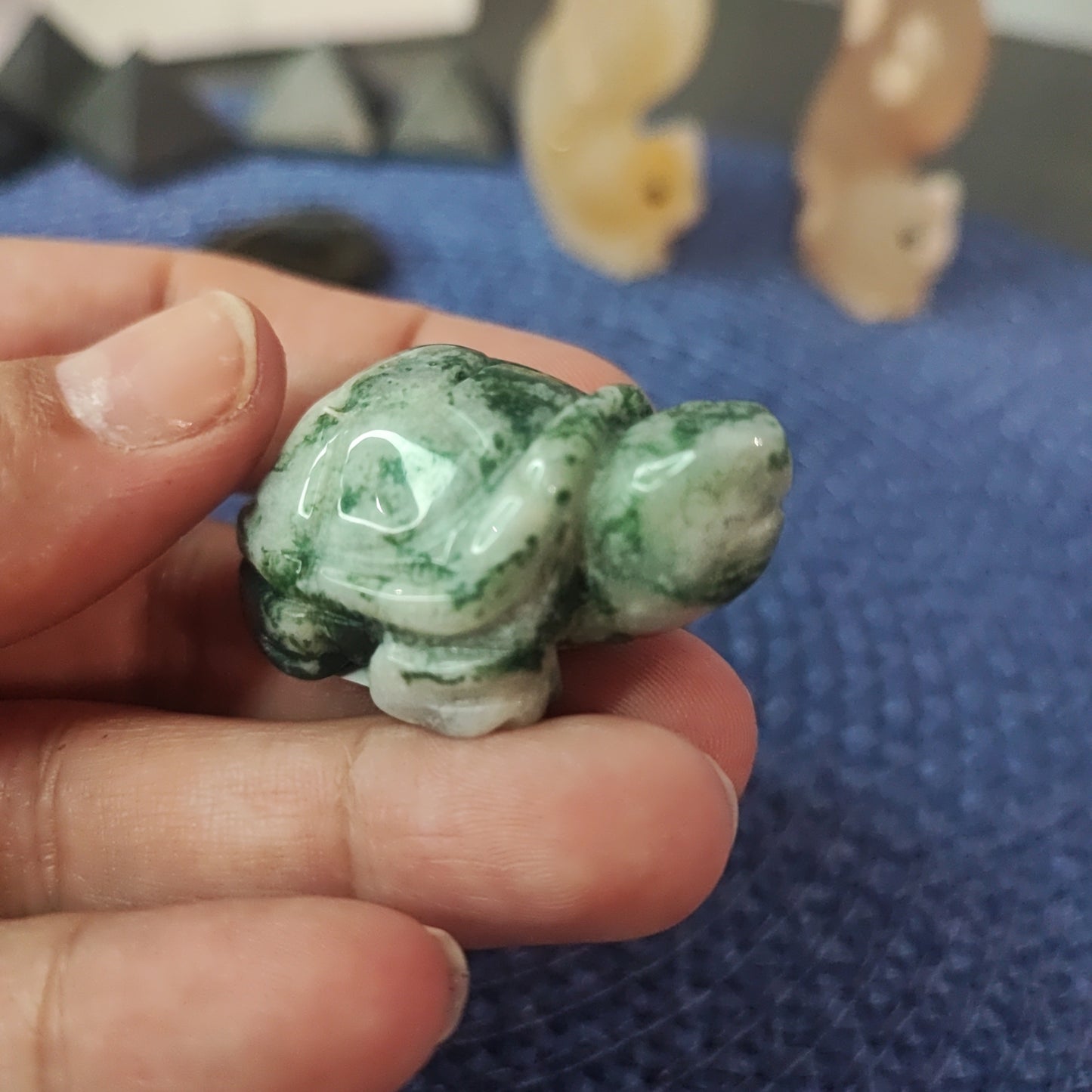 Tortugas de diferentes minerales