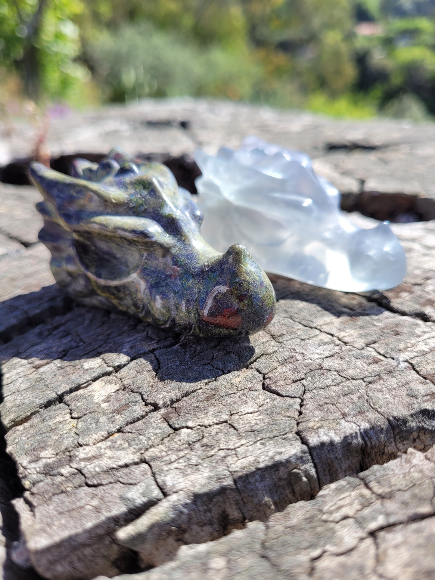 Cabeza de Dragón Pequeña