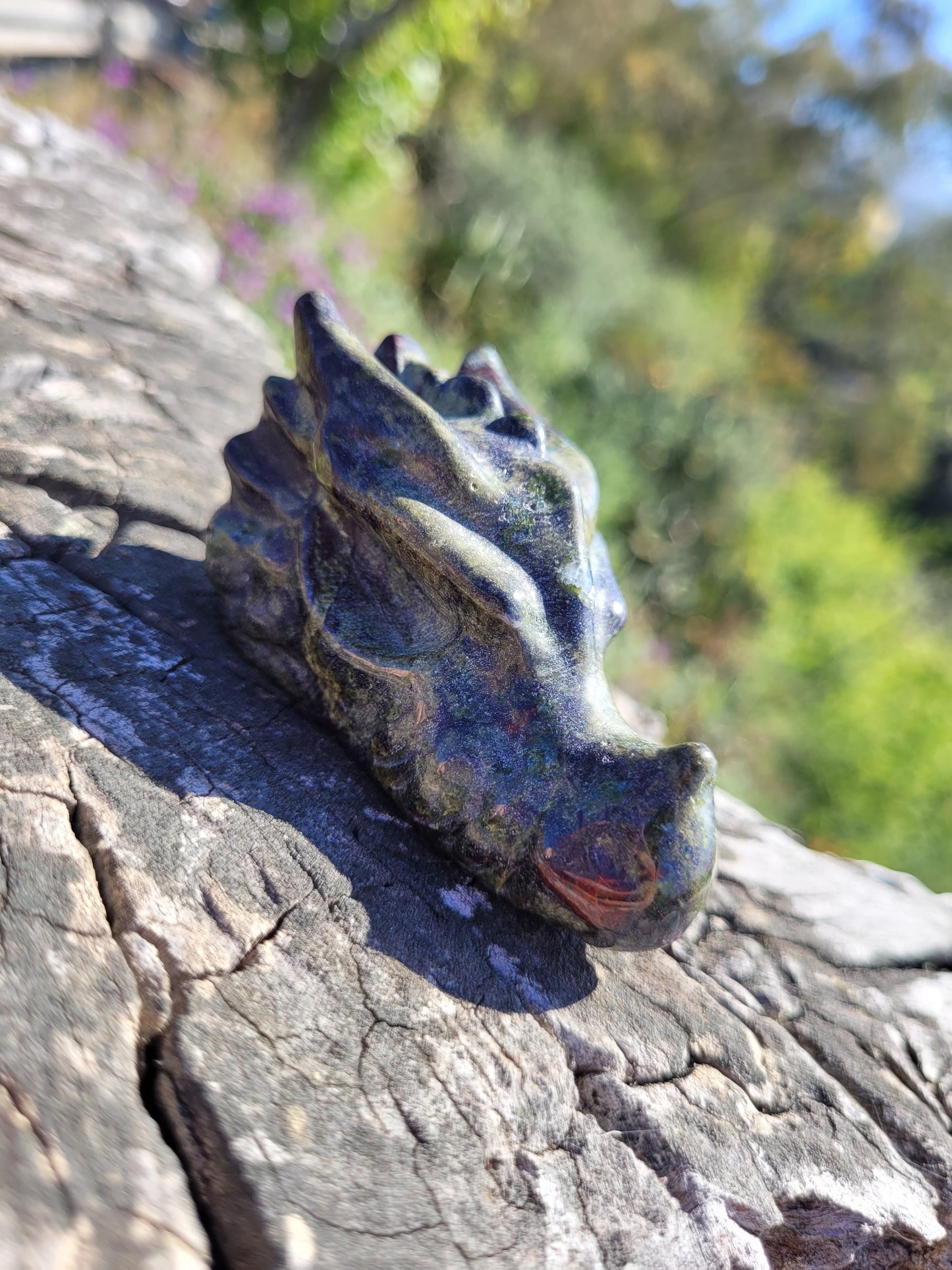 Cabeza de Dragón Pequeña