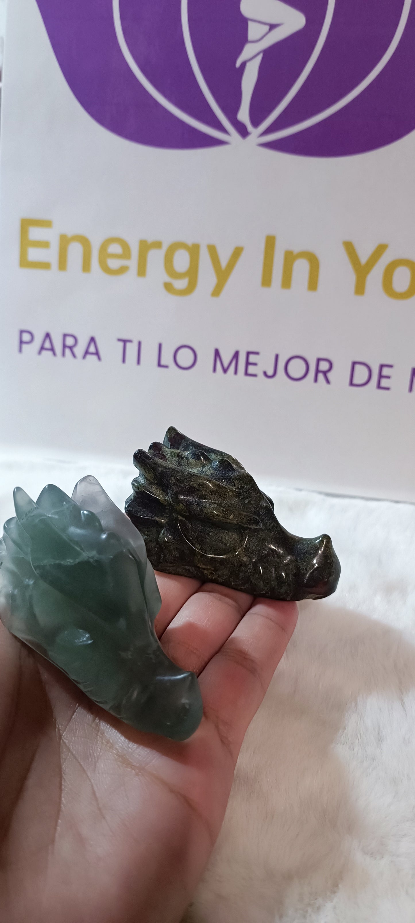 Cabeza de Dragón Pequeña