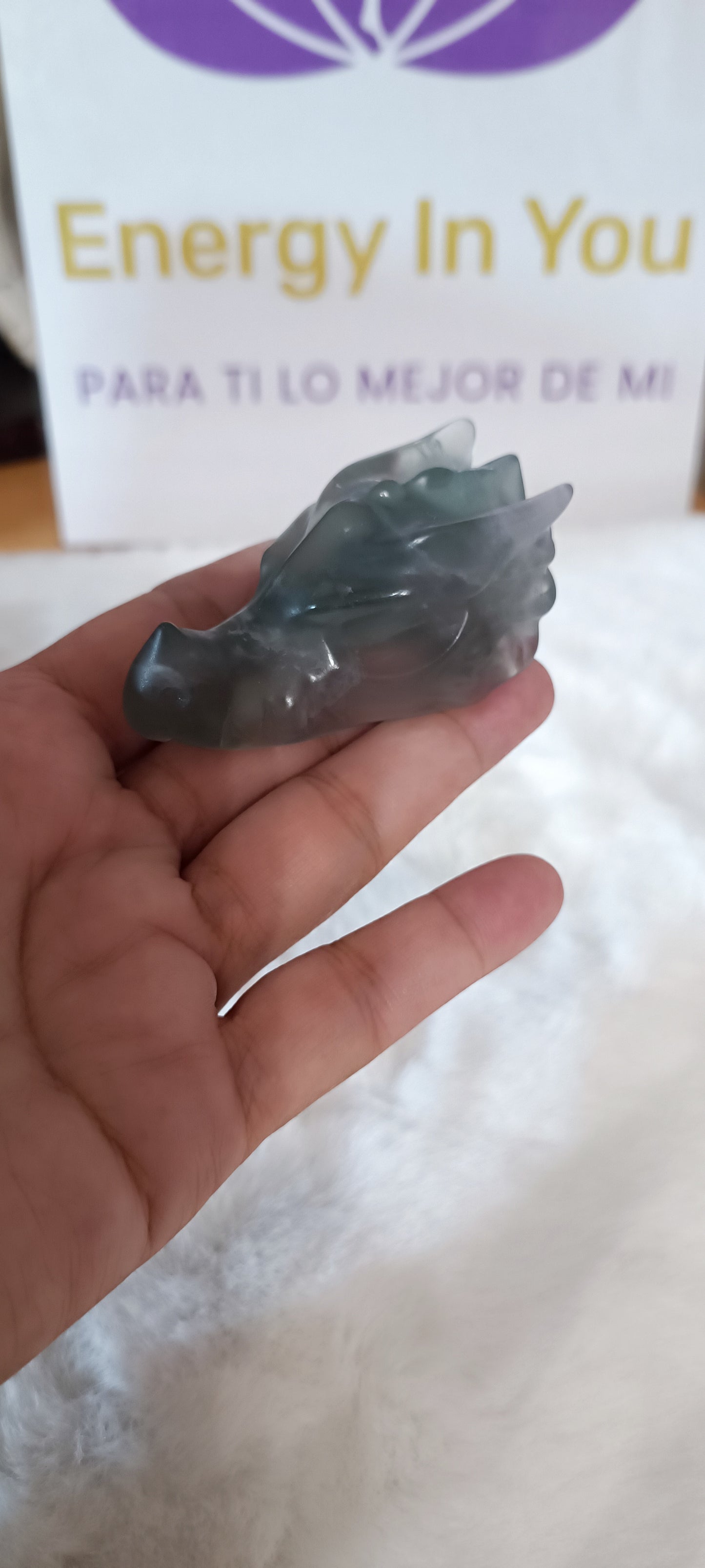 Cabeza de Dragón Pequeña