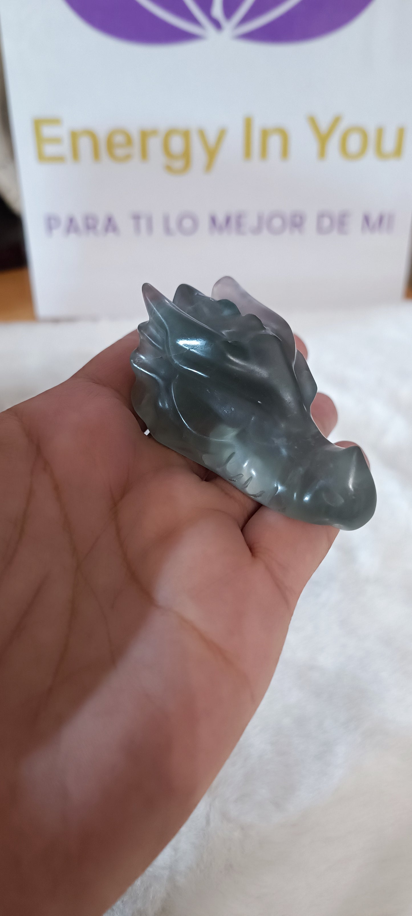 Cabeza de Dragón Pequeña