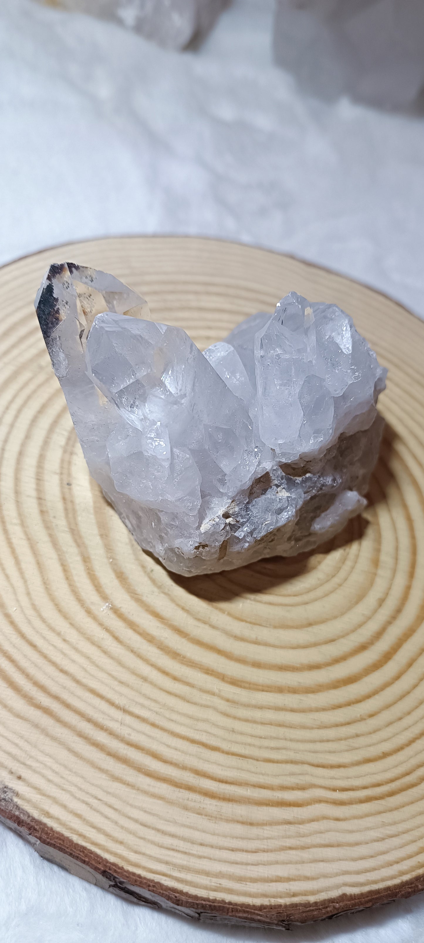 Drusa de Cuarzo Cristal de Roca