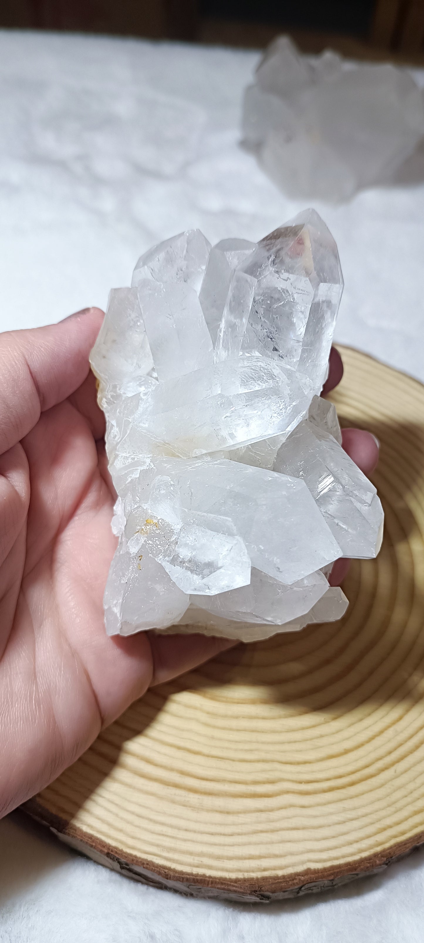 Drusa de Cuarzo Cristal de Roca.