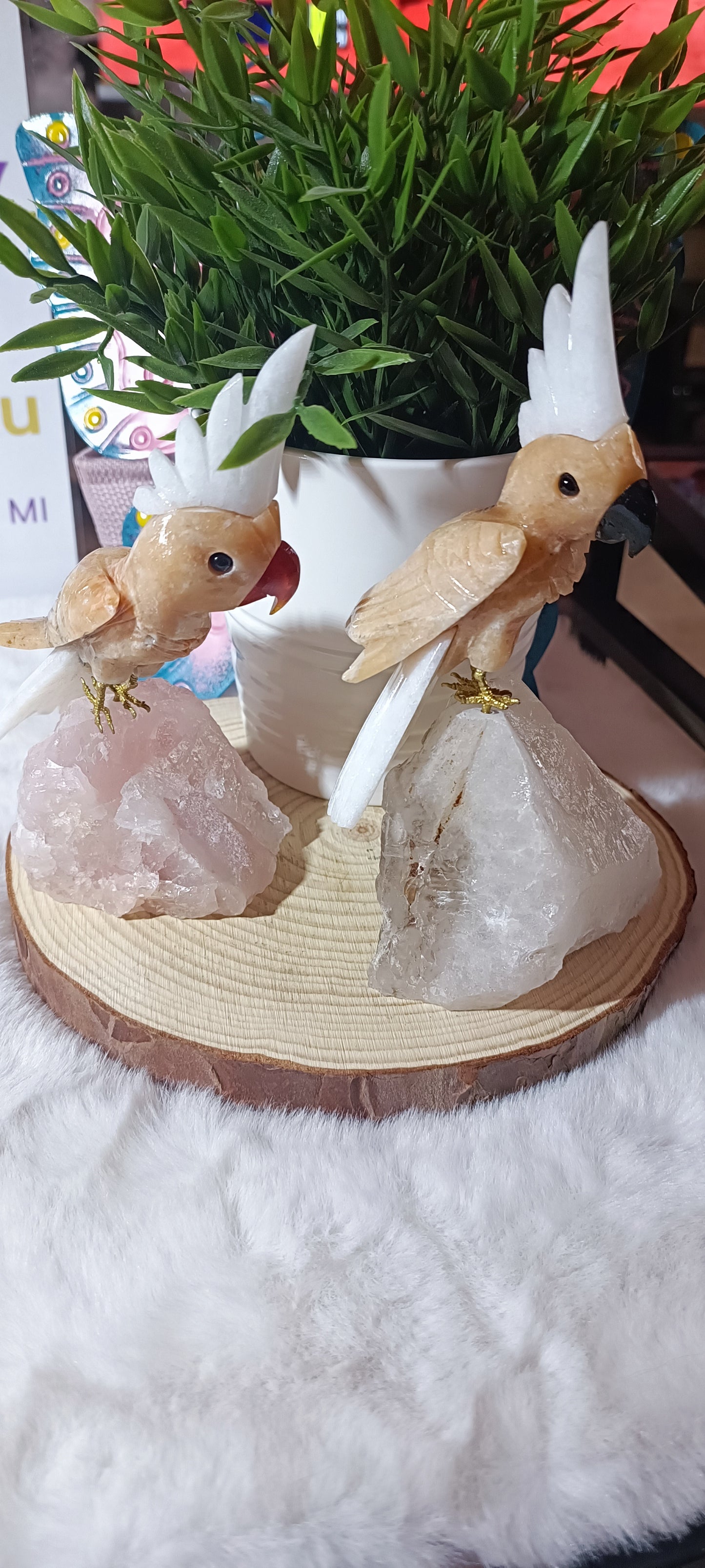 Loro exótico Grande en Cuarzo Rosa o Cuarzo Cristal de Roca