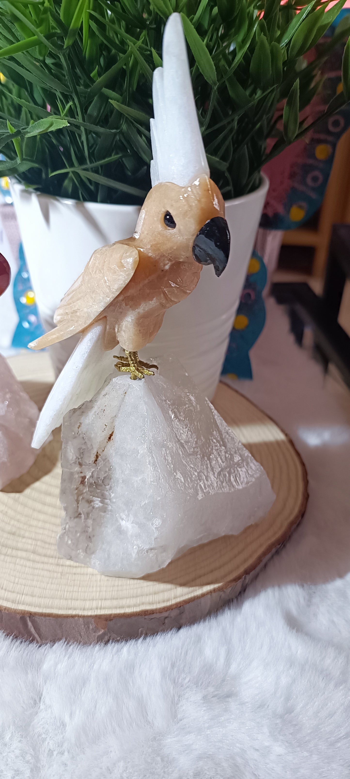 Loro exótico Grande en Cuarzo Rosa o Cuarzo Cristal de Roca