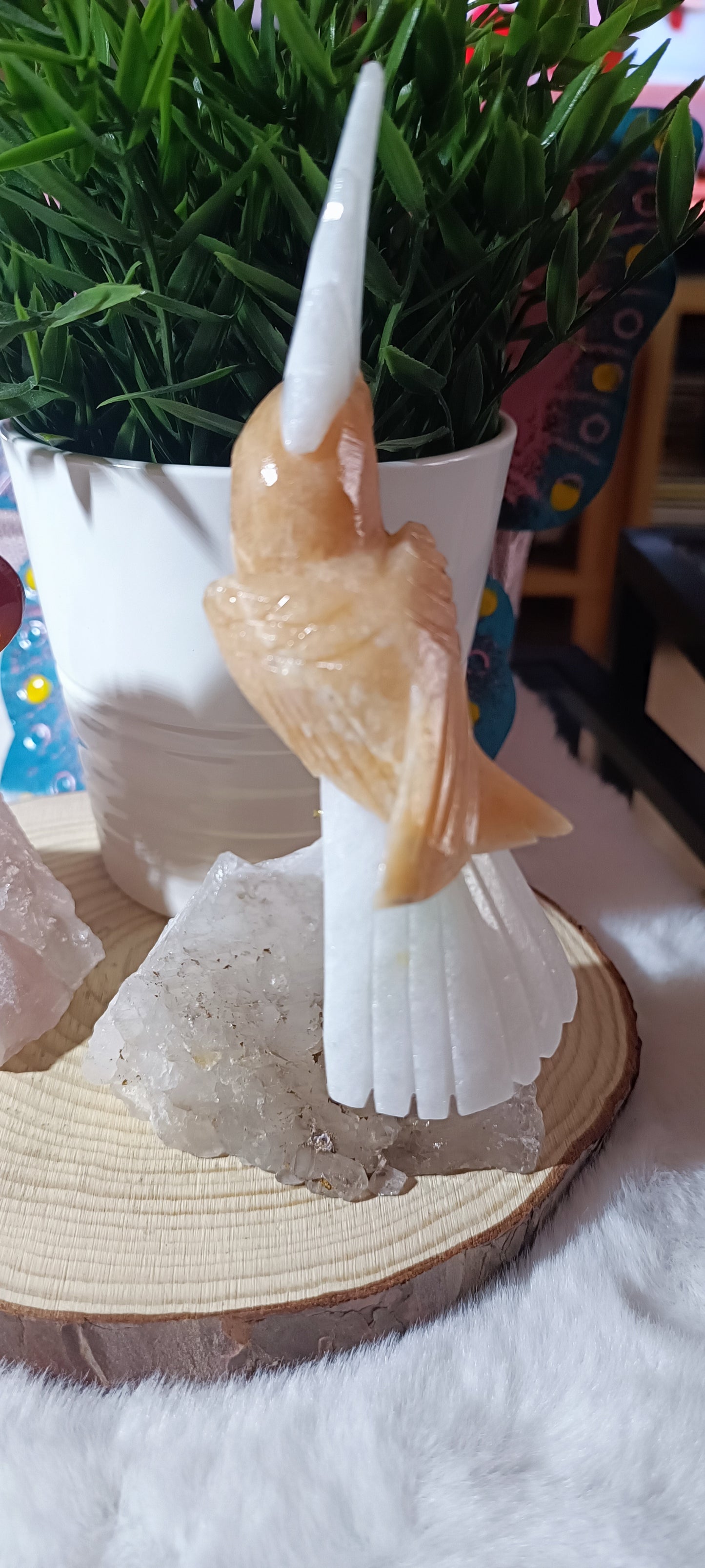 Loro exótico Grande en Cuarzo Rosa o Cuarzo Cristal de Roca