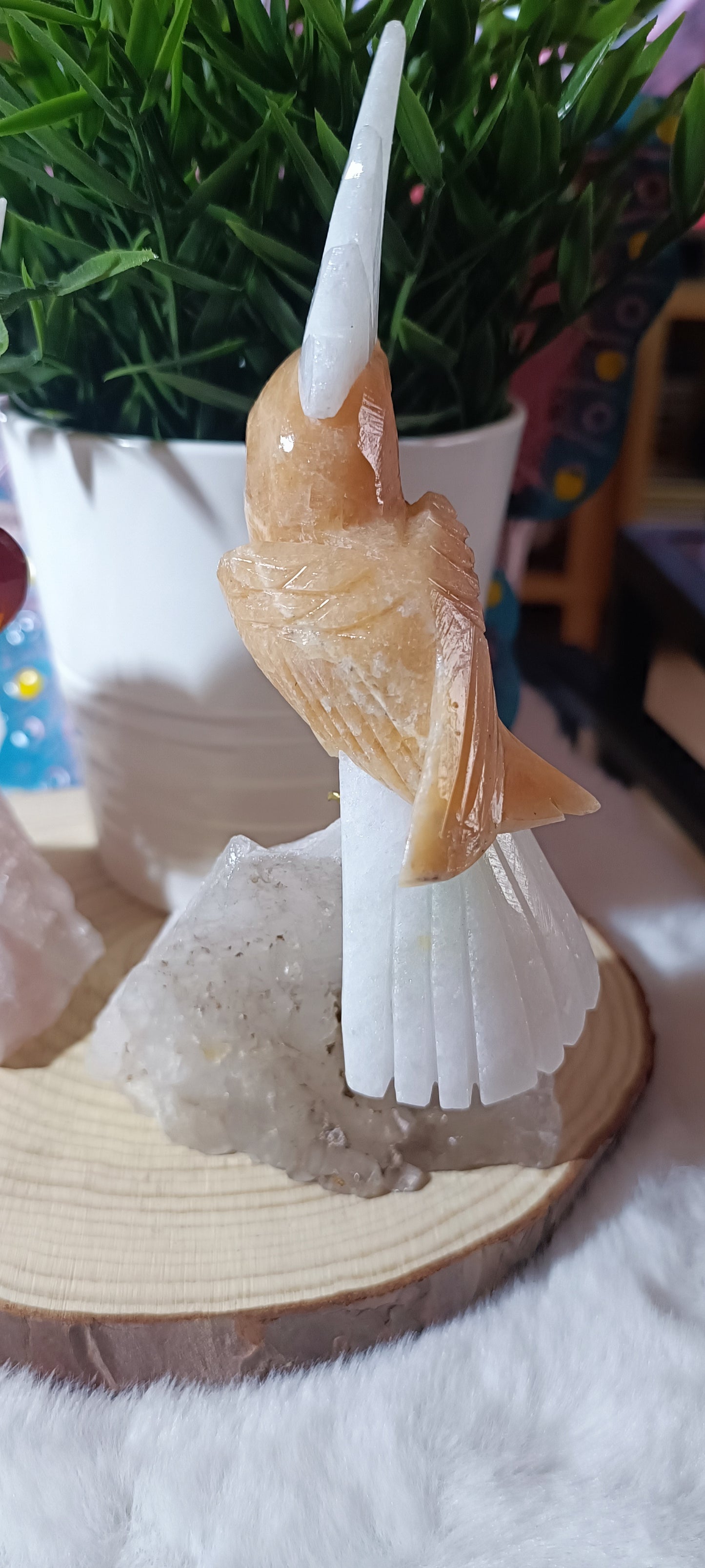 Loro exótico Grande en Cuarzo Rosa o Cuarzo Cristal de Roca