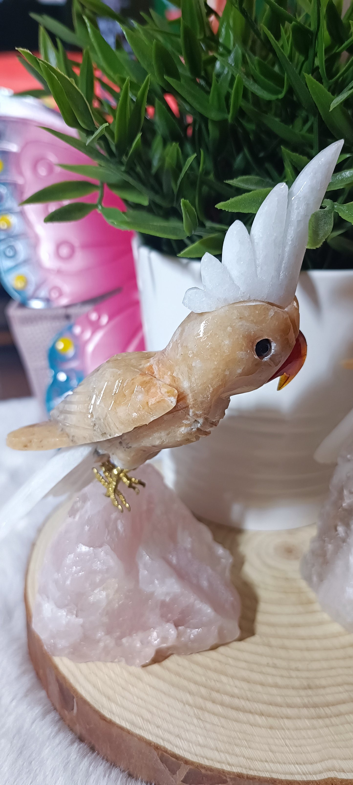 Loro exótico Grande en Cuarzo Rosa o Cuarzo Cristal de Roca