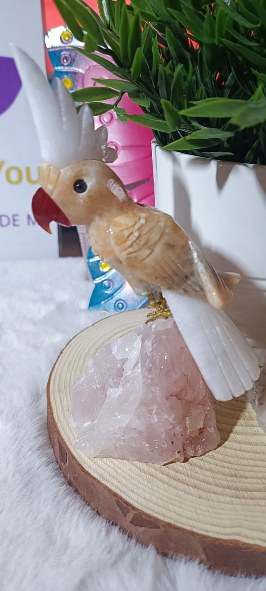 Loro exótico Grande en Cuarzo Rosa o Cuarzo Cristal de Roca