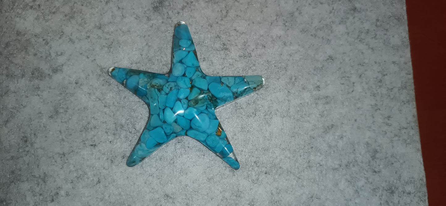 Estrellita de mar