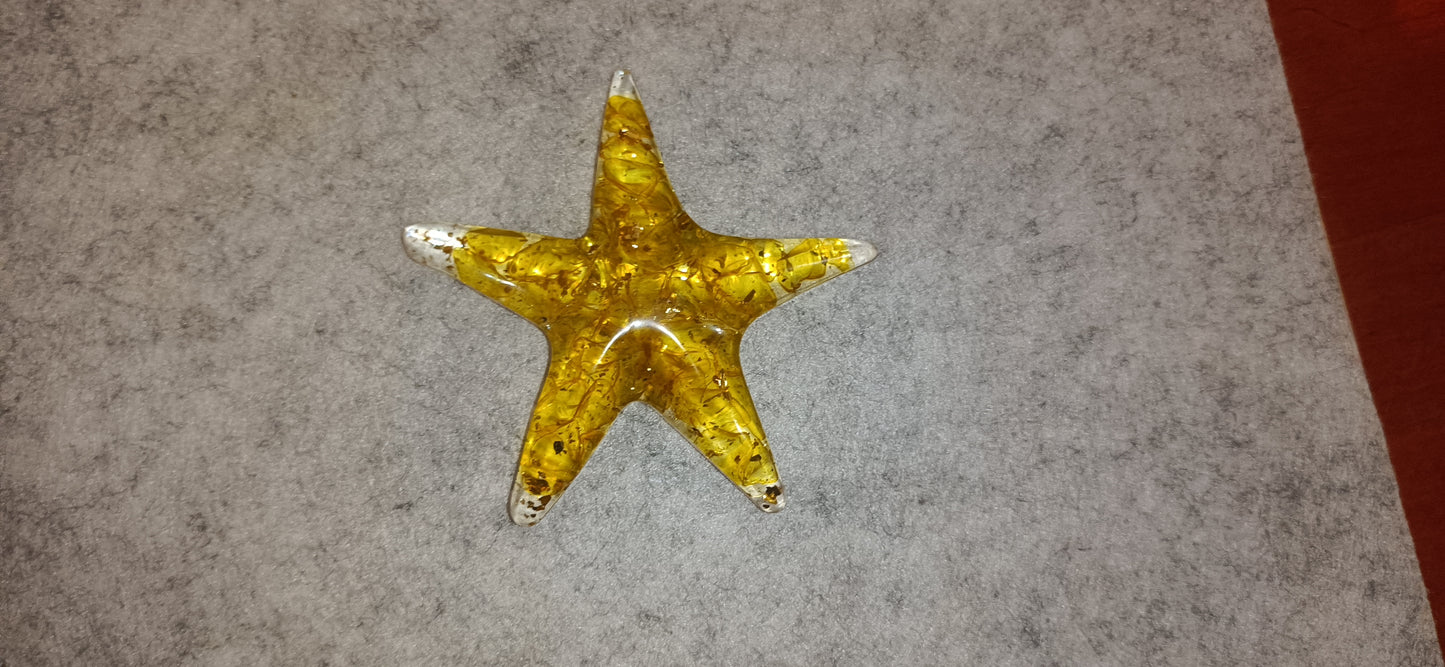Estrellita de mar