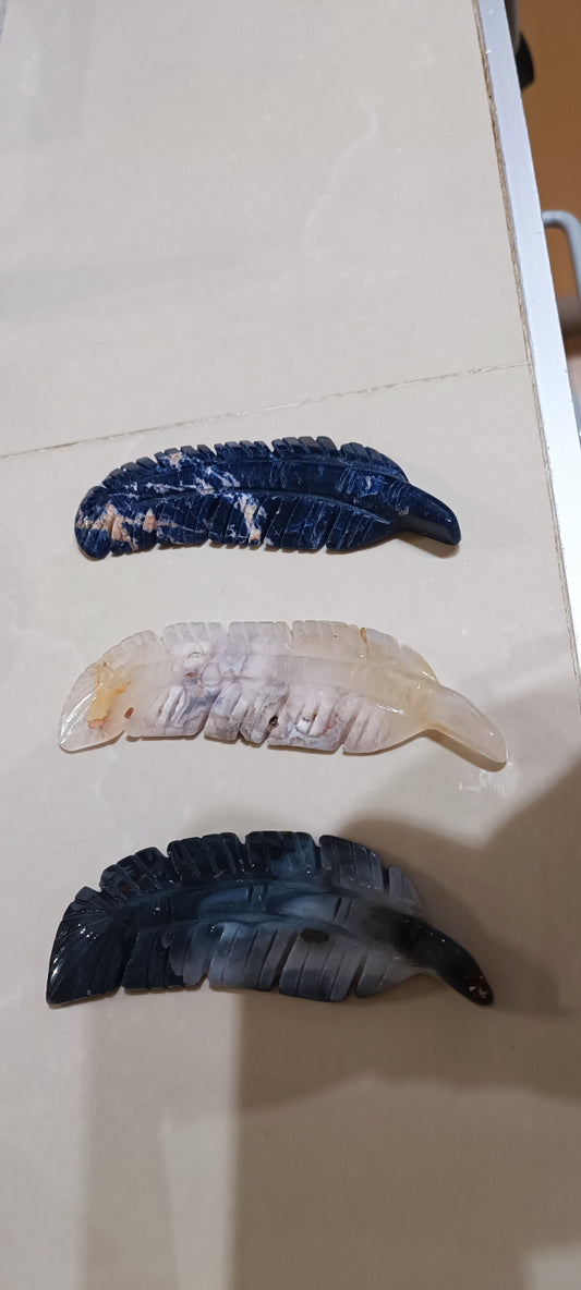 Pluma en varios minerales