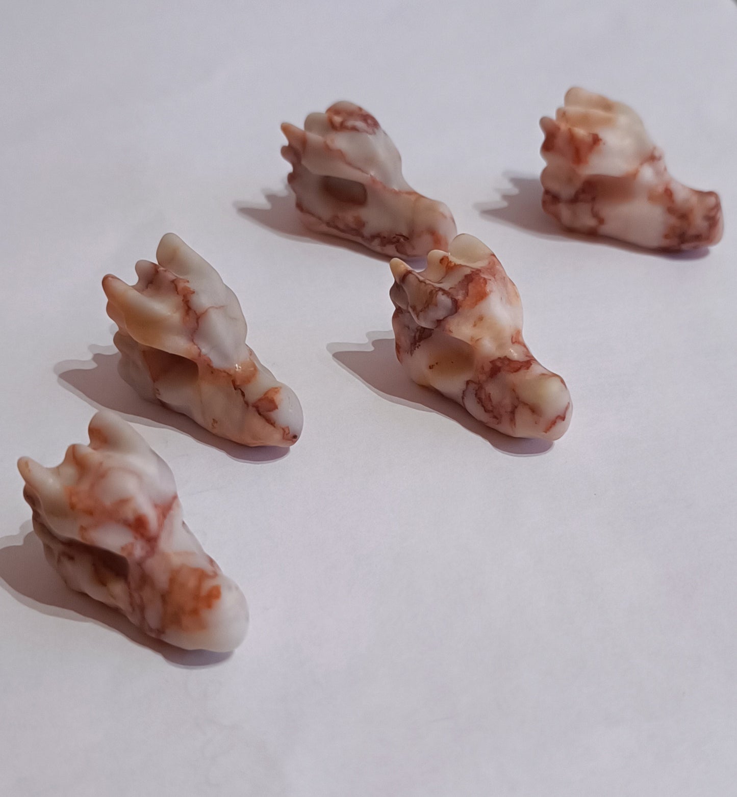 Cabeza de Dragón mini.